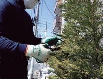 引野造園株式会社のアルバイト・バイト求人情報-02