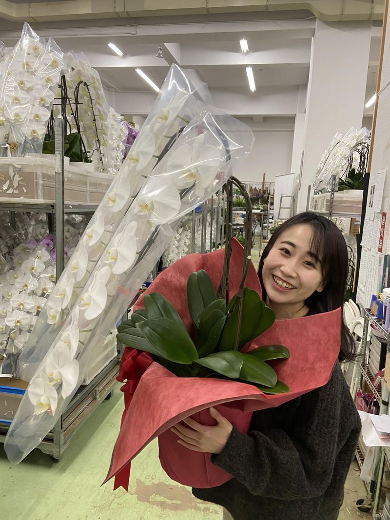 アートグリーン株式会社 大阪支店のアルバイト・バイト求人情報-02