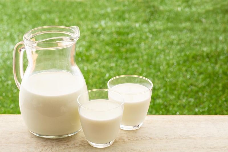 日本通運株式会社-0024の求人・転職情報