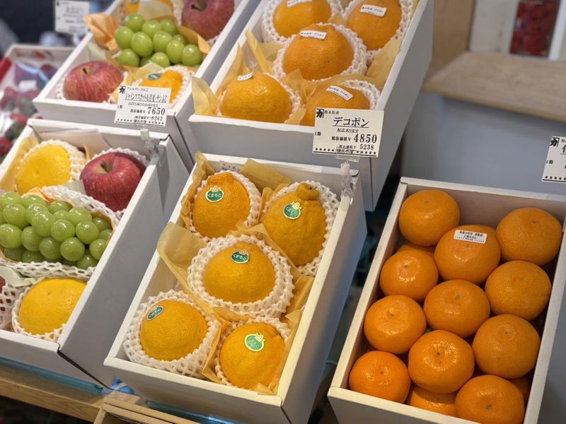 大船ルミネウイング店の派遣求人情報