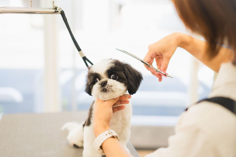 トリミングサロンブルーム足立のアルバイト・バイト求人情報-02