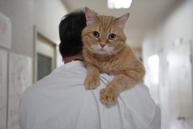 医療法人深慈会　クリニカ・デ・ふかやの求人・転職情報