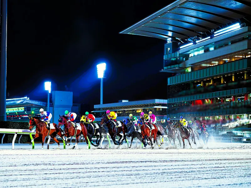 「SPAT4」広報業務体験!東京都競馬1DAYプログラム
