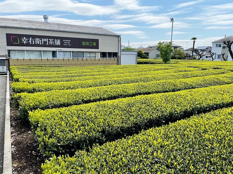 宮鍋製茶株式会社の求人・転職情報
