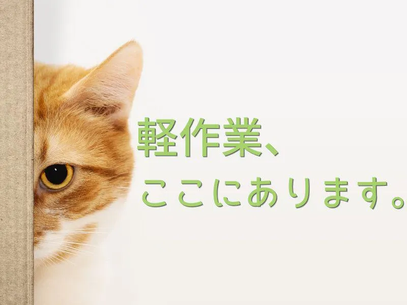 株式会社ジョブフィールの求人・転職情報