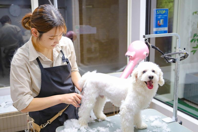 世界の名犬牧場のアルバイト・バイト求人情報-04