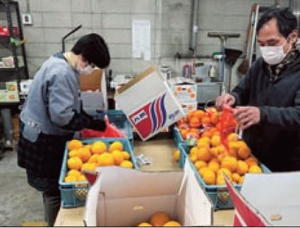 花房青果株式会社の求人・転職情報