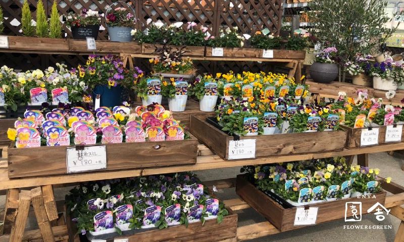 (有)園舎 堺店のアルバイト・バイト求人情報-05