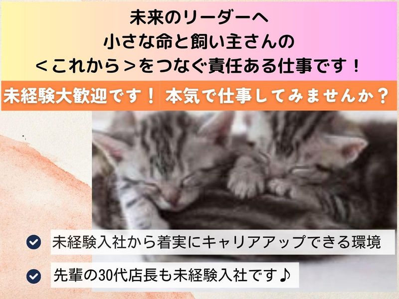 有限会社　アークスの求人・転職情報