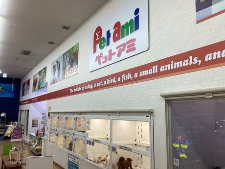 シャトルドケンネルの求人・転職情報