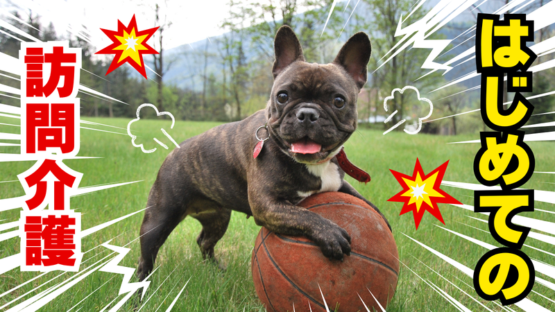 セントケア西日本株式会社の求人・転職情報