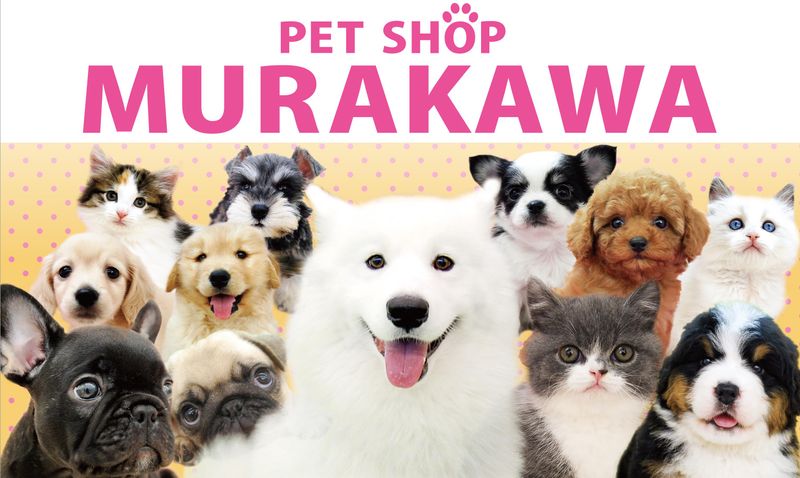 有限会社ペットショップ村川の求人・転職情報