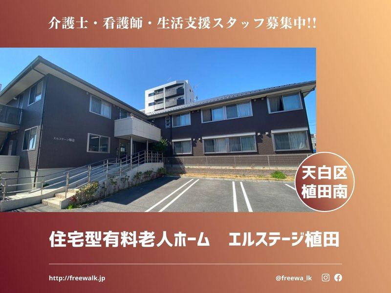 株式会社フリーウォークの求人・転職情報