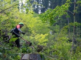 株式会社グリーンクラフトの求人・転職情報