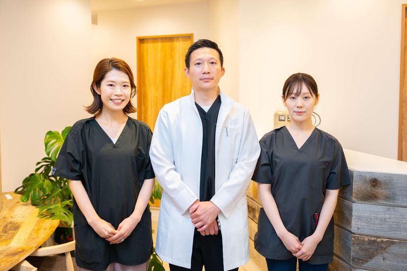 練馬加藤矯正歯科の求人・転職情報