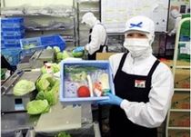 株式会社オーシャンシステム-0002の求人・転職情報