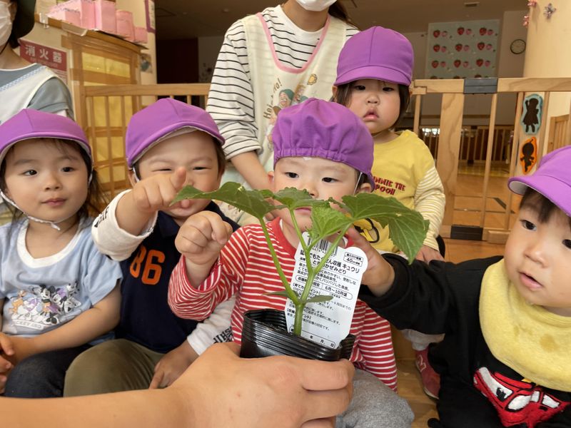 みのりいちば保育園のアルバイト・バイト求人情報-04