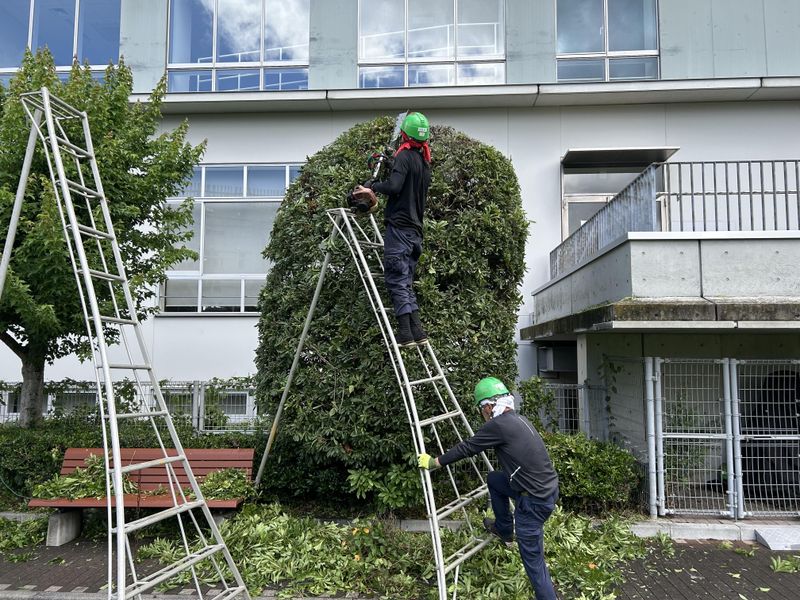 有限会社K・Mグリーンの求人・転職情報