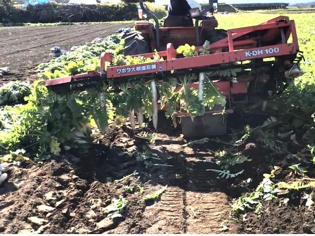 日高ファームのアルバイト・バイト求人情報-02