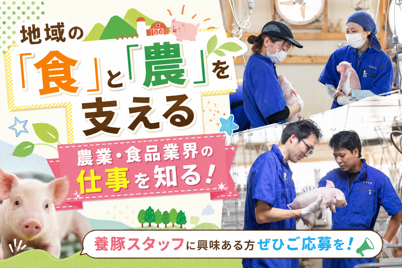 農業・食品業界|人事職や養豚スタッフの仕事、キャリアを知る