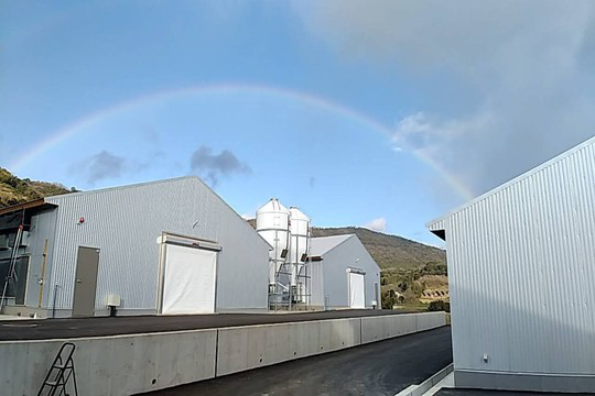 株式会社熊本チキンの求人・転職情報