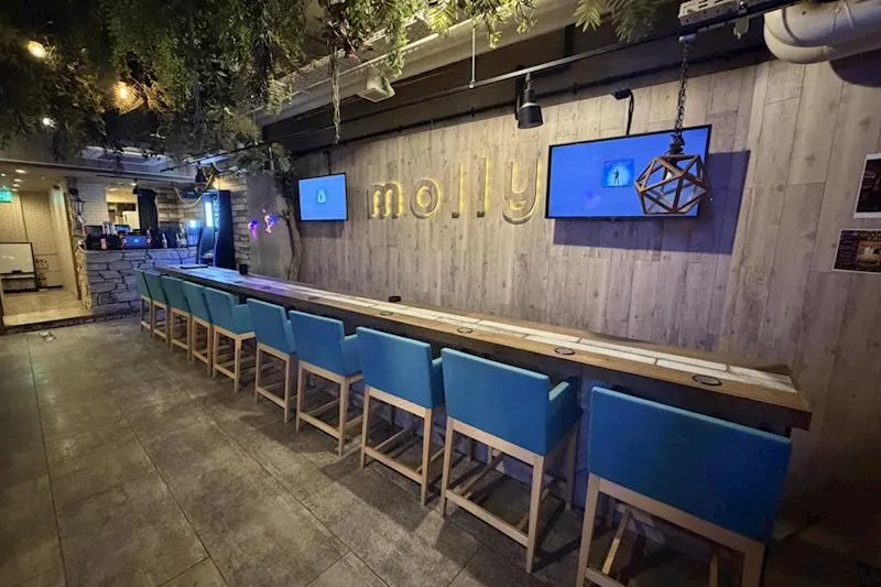 Girls Bar mollyのアルバイト・バイト求人情報
