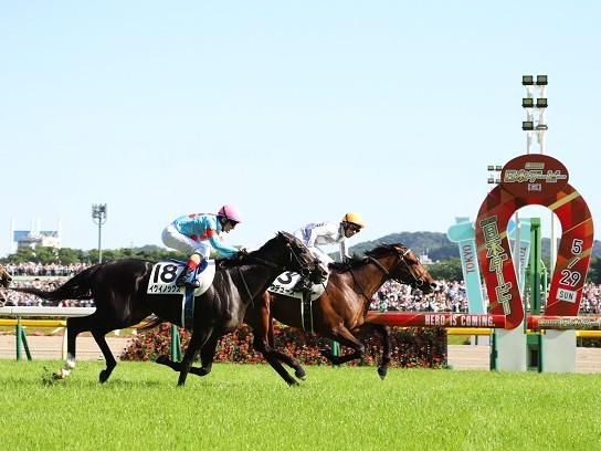 日本中央競馬会　東京競馬場のアルバイト・バイト求人情報-02