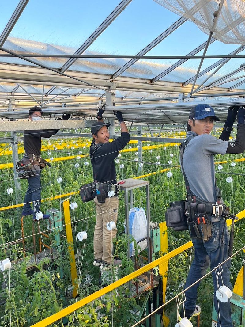 株式会社吉田農材の求人・転職情報