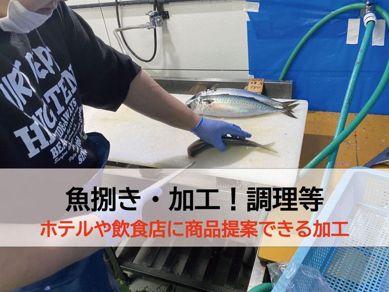 活魚鮮魚問屋シーズ(Seas)の求人情報