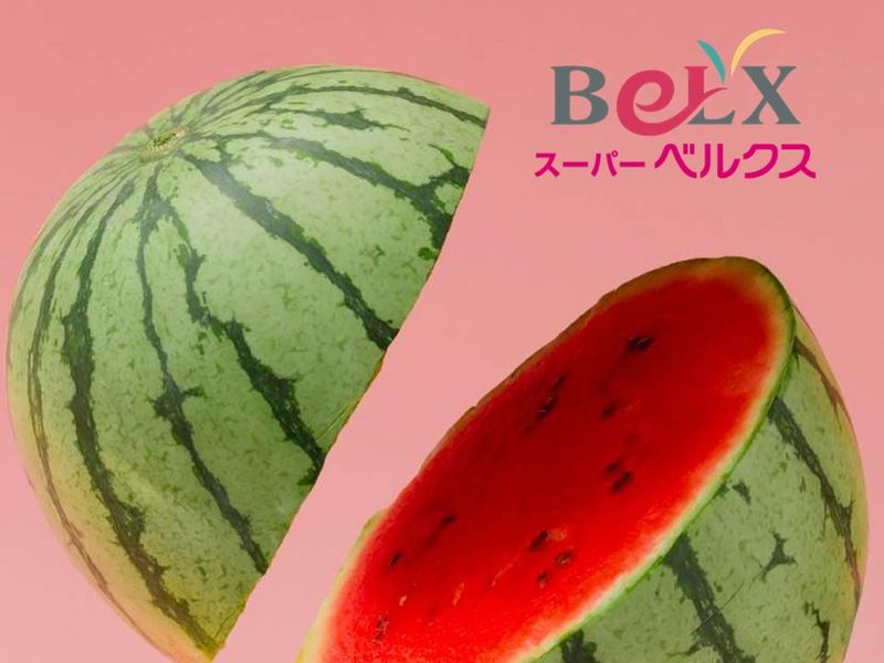 株式会社サンベルクスホールディングス