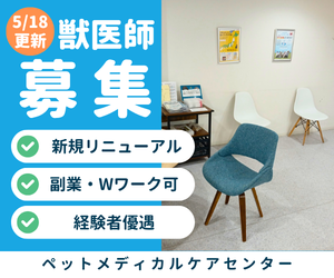 株式会社ベッツリンクの求人・転職情報