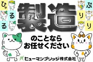 ヒューマンブリッジ株式会社の求人情報