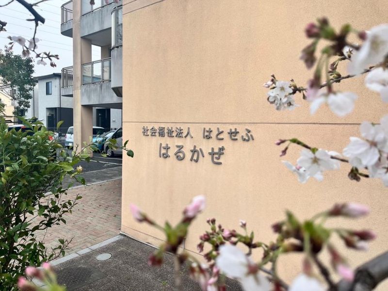 社会福祉法人はとせふ-0002の求人・転職情報