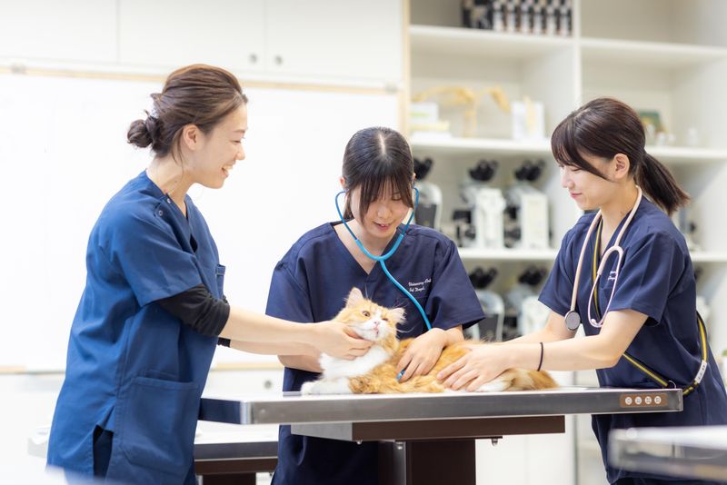 学校法人福岡安達学園の求人・転職情報