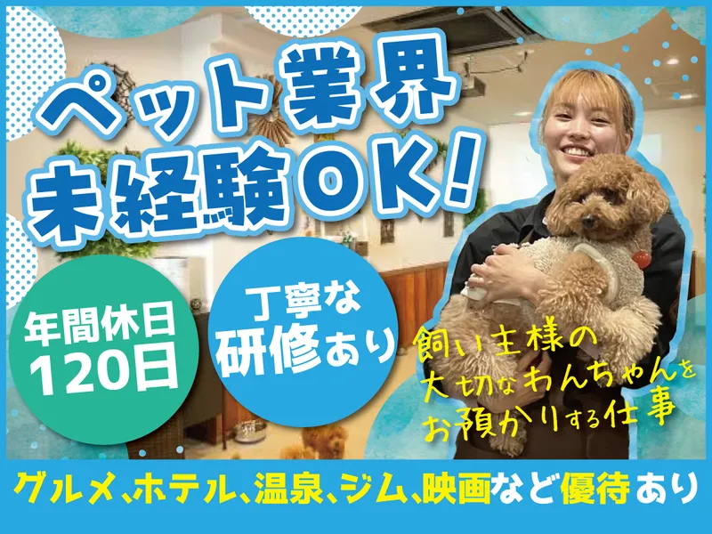 株式会社Lucuのアルバイト・バイト求人情報