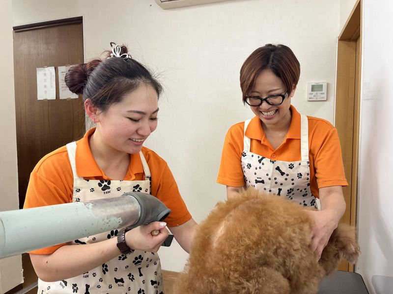 ペットサロン　シエンヌのアルバイト・バイト求人情報-02