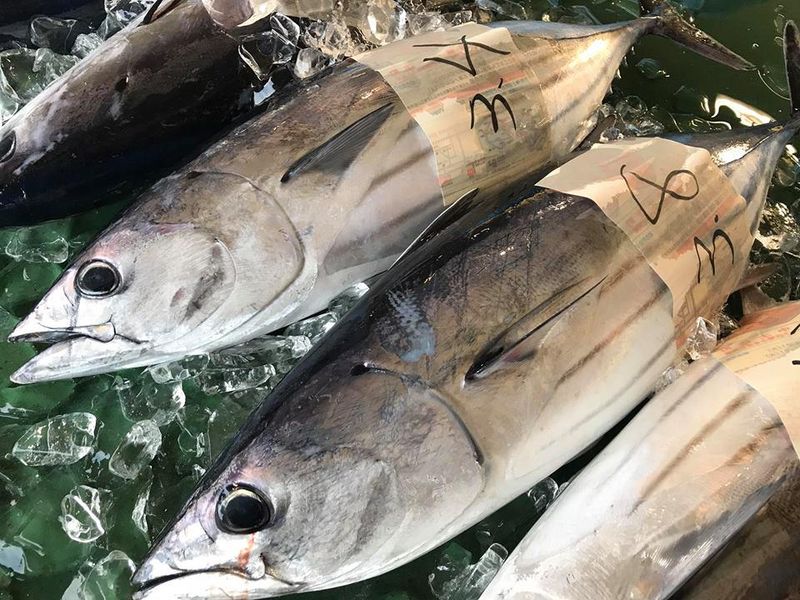 魚貴　追手筋店のアルバイト・バイト求人情報-03