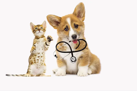 株式会社ASメディカルサポートの求人・転職情報