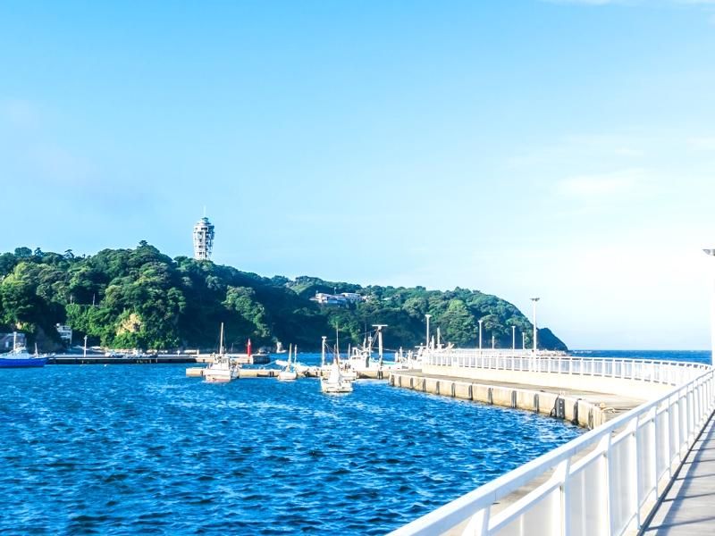 フジアート株式会社の求人・転職情報