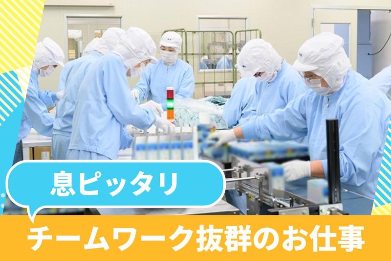 株式会社ハシモトのアルバイト・バイト求人情報-02