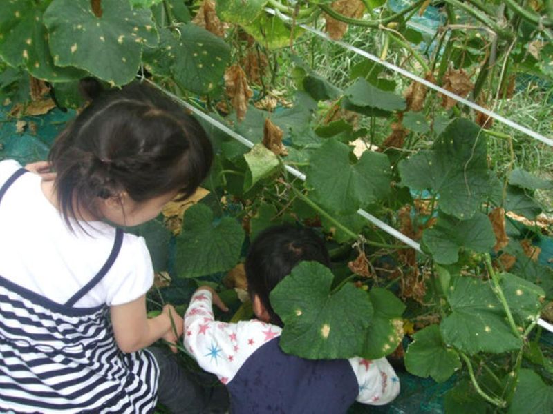 社会福祉法人彩の国ふかや福祉会