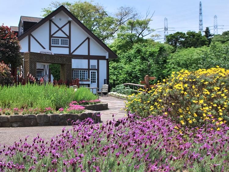 西武造園株式会社の求人・転職情報