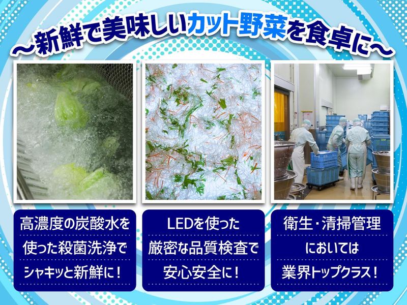 株式会社エスベジのアルバイト・バイト求人情報-03