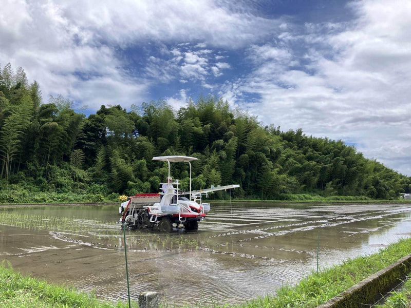 株式会社松尾米穀店の求人・転職情報