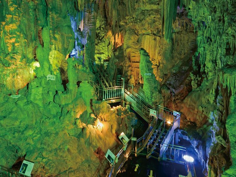 一般社団法人Switchの求人・転職情報