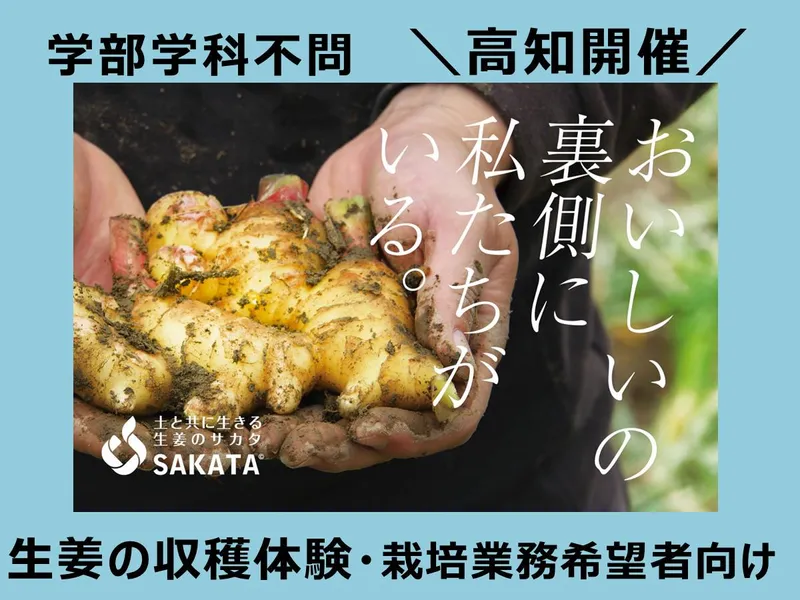【栽培職志望者必見】高知の老舗で挑むチーム農業