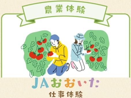 1day仕事体験(杵築柑橘選果場に直接訪問!)