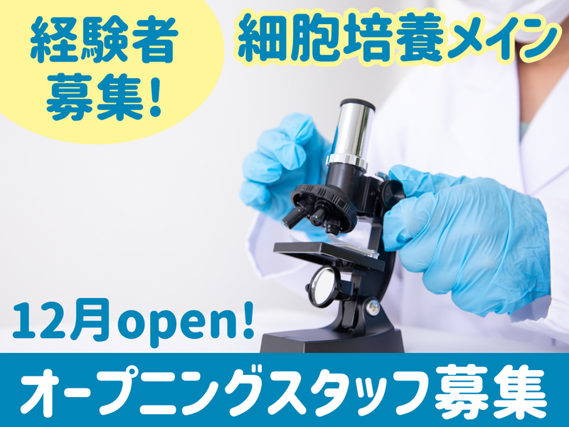 株式会社こもれびの求人・転職情報