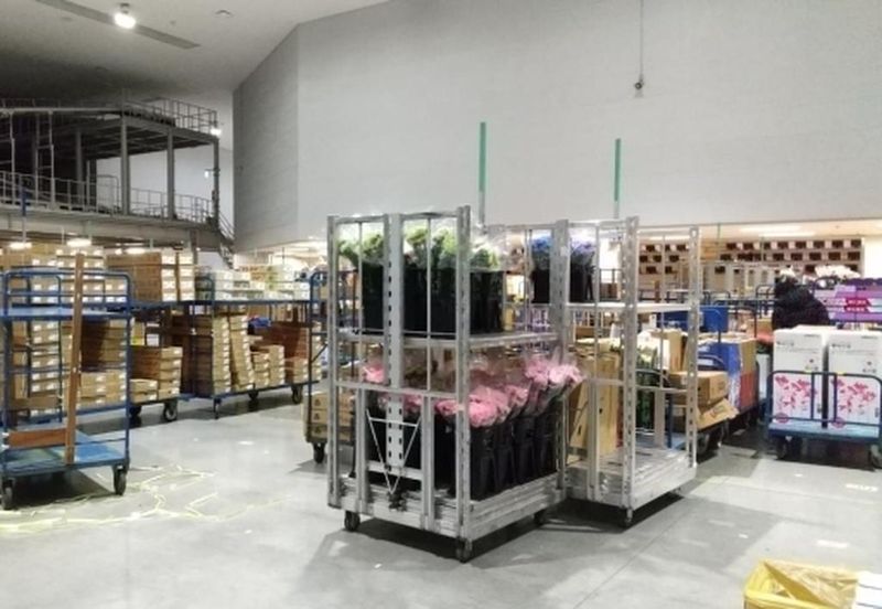 (株)肆矢花き卸売市場　名港肆矢の求人情報