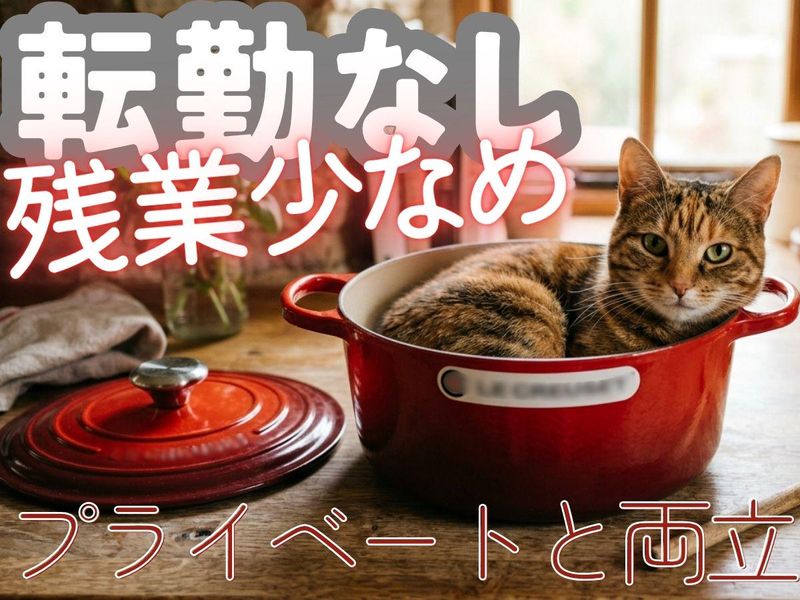 株式会社プラス・シー本社窓口の求人・転職情報